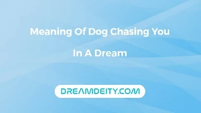 Biblical Meaning Of Dog Chasing You In A Dream